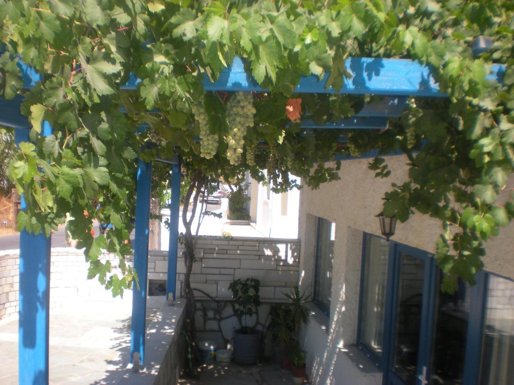 Hotel Rea Naxos City Esterno foto